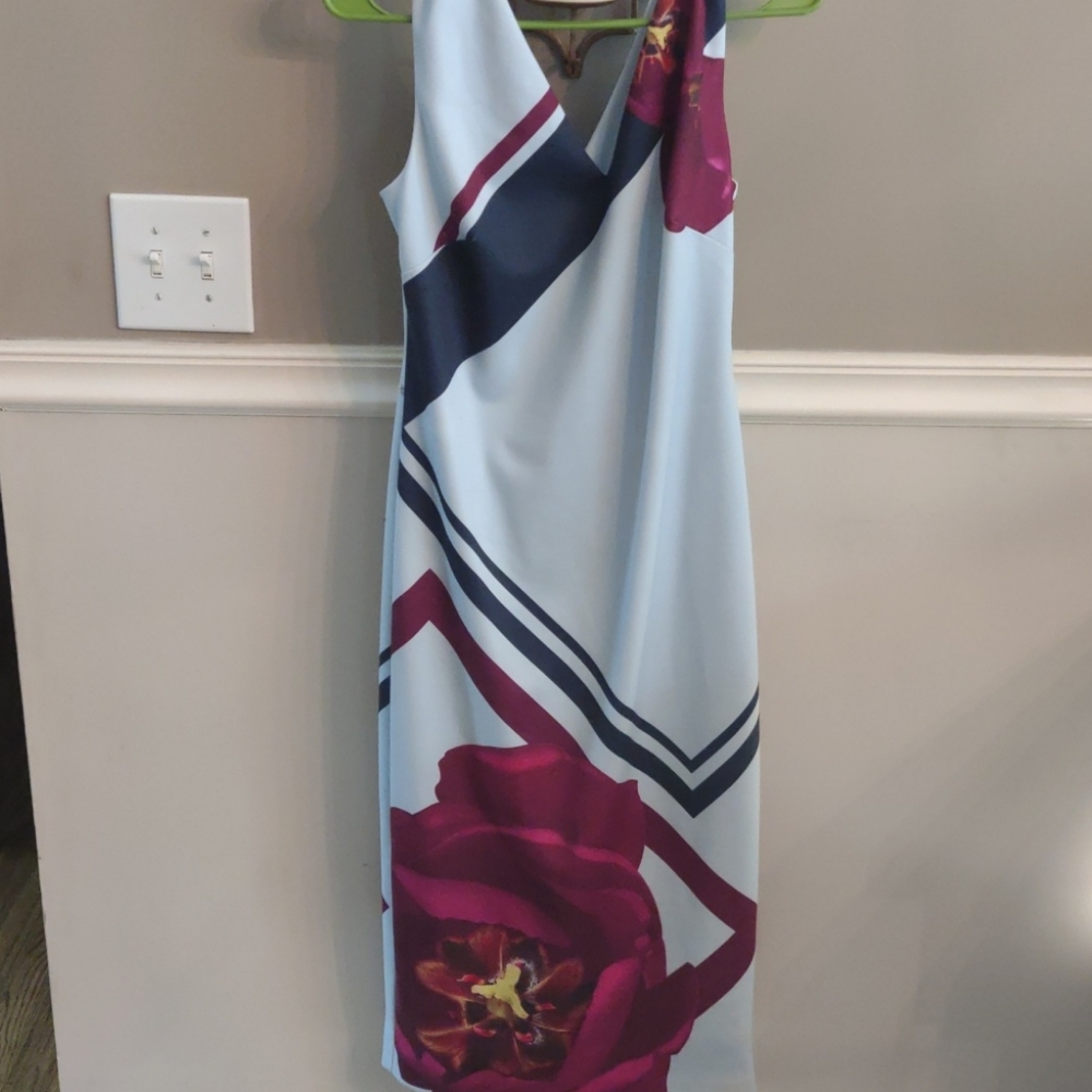 Ted Baker London Sleeveless Dress - Size 3